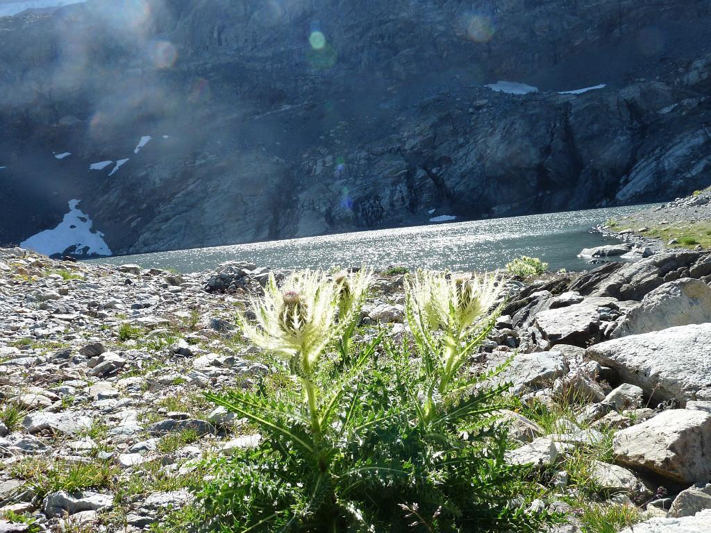 보자니 Le Perce Neige 아파트 외부 사진